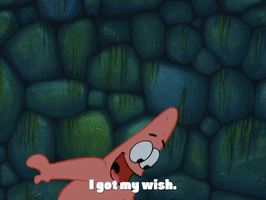 Faith In Your Contributions 🪙