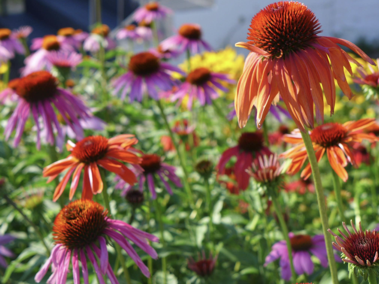 Art, Ice Cream & Everything In Between: Your Poughkeepsie Weekend Guide