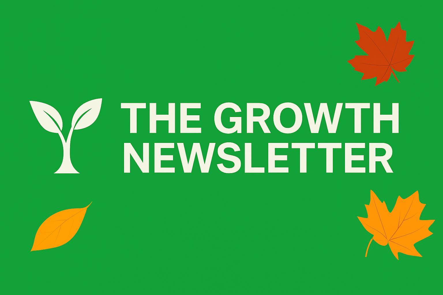 Fall Back Into Focus