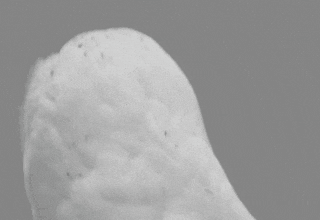 What's new in DevEx - February 27