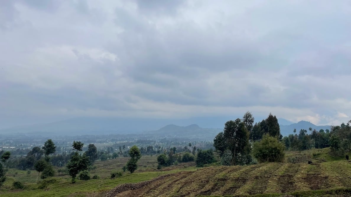 A love letter to Africa 