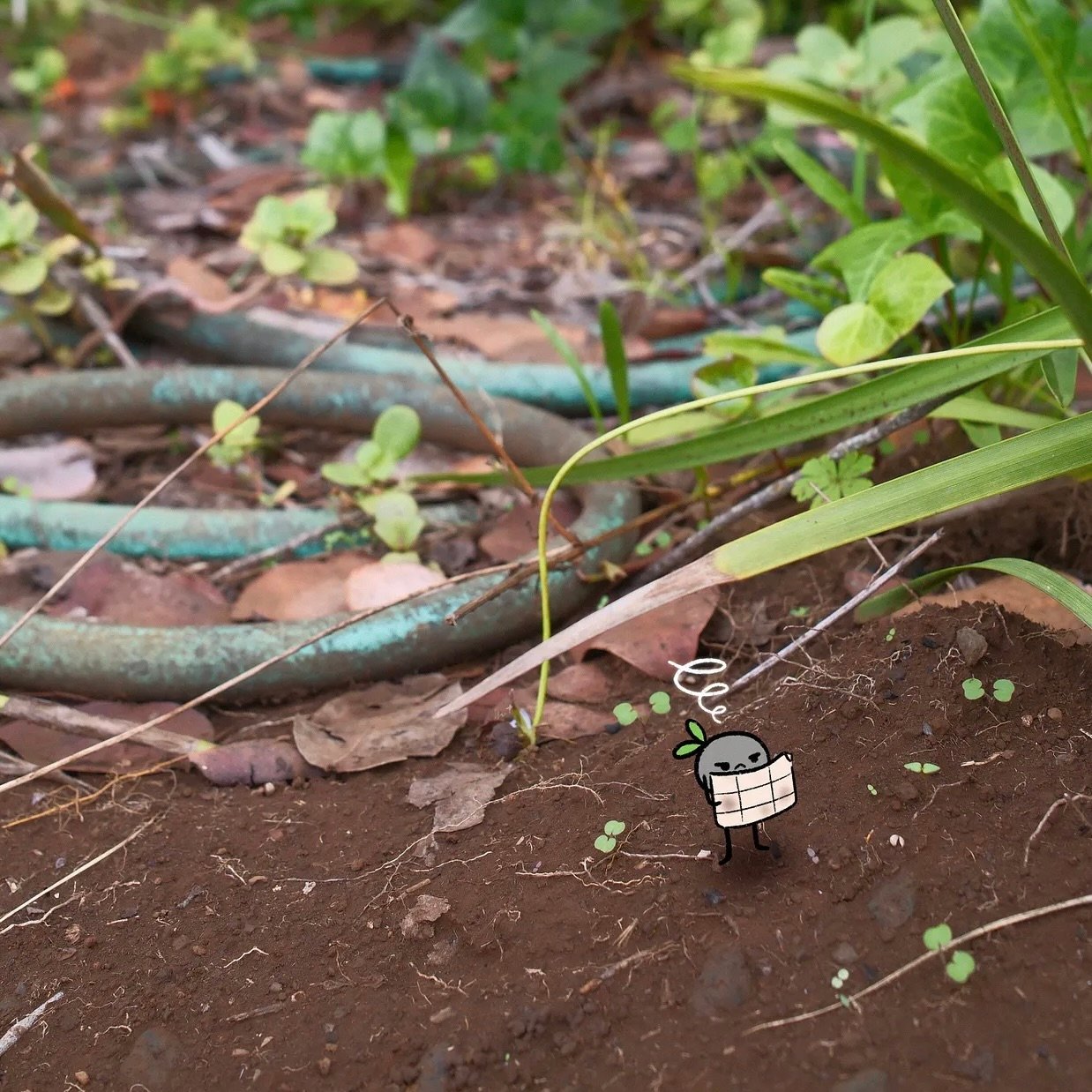 FEBRUARY, 2026 -- PEBBLE PROSE