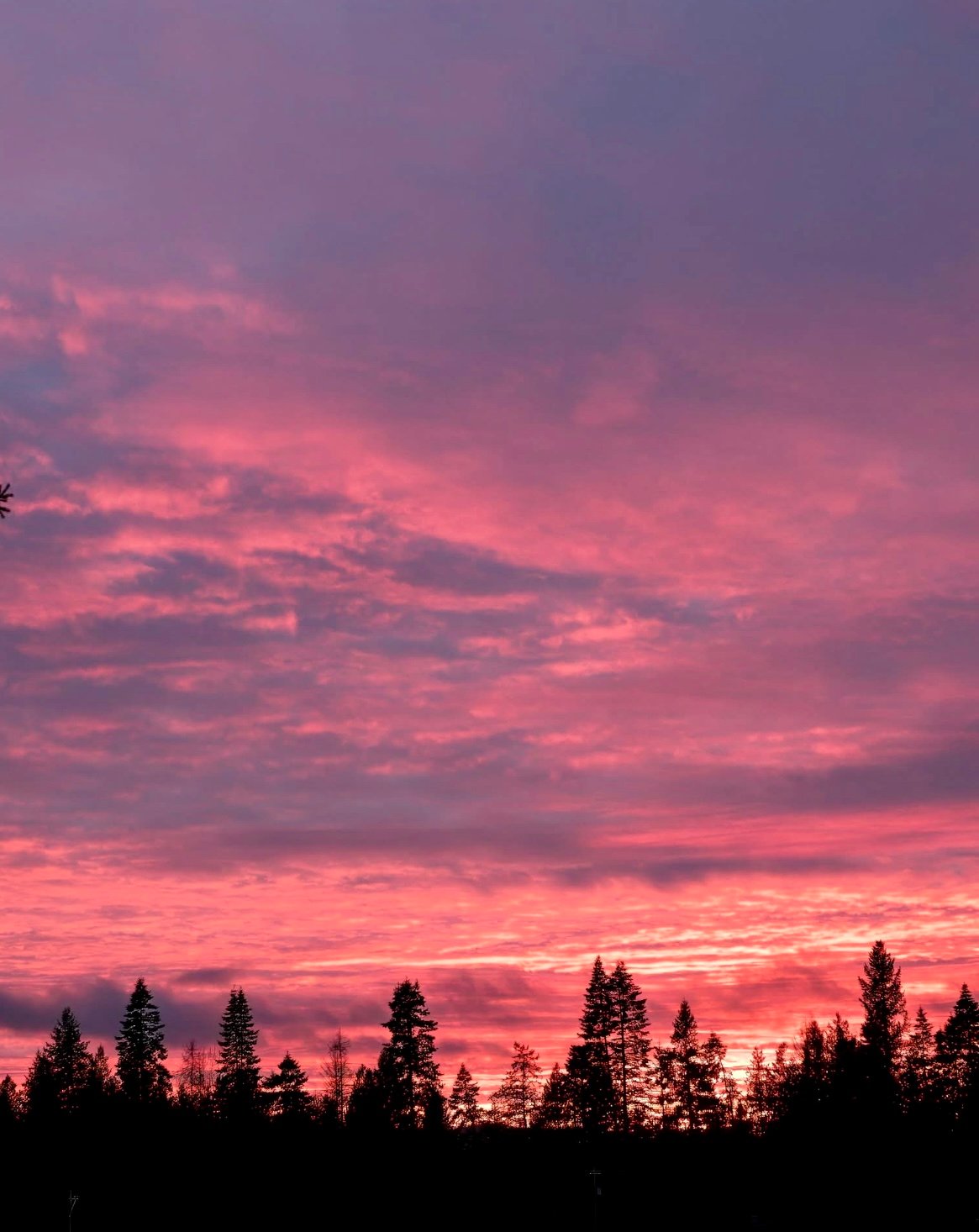 Explore & Home: North Idaho Edition