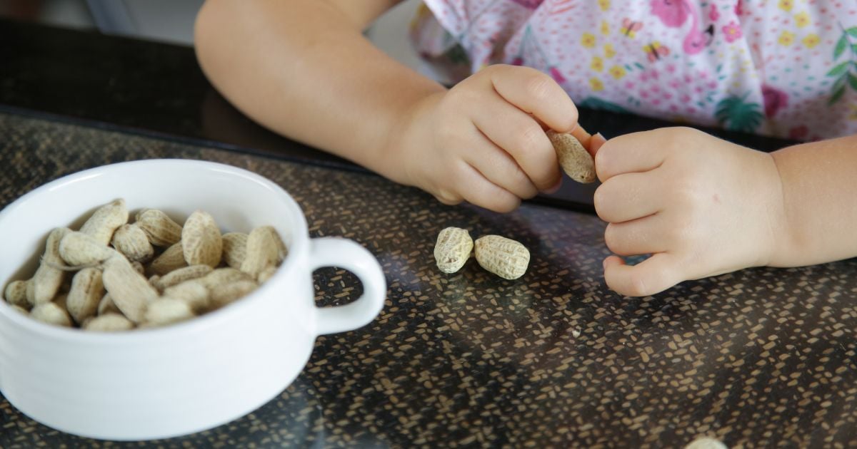 Study Suggests Peanut Therapy May Help Allergic Toddlers