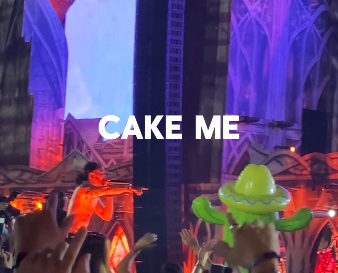 ROFL - Posted my vid on Steve Aoki's CAKING 🍰