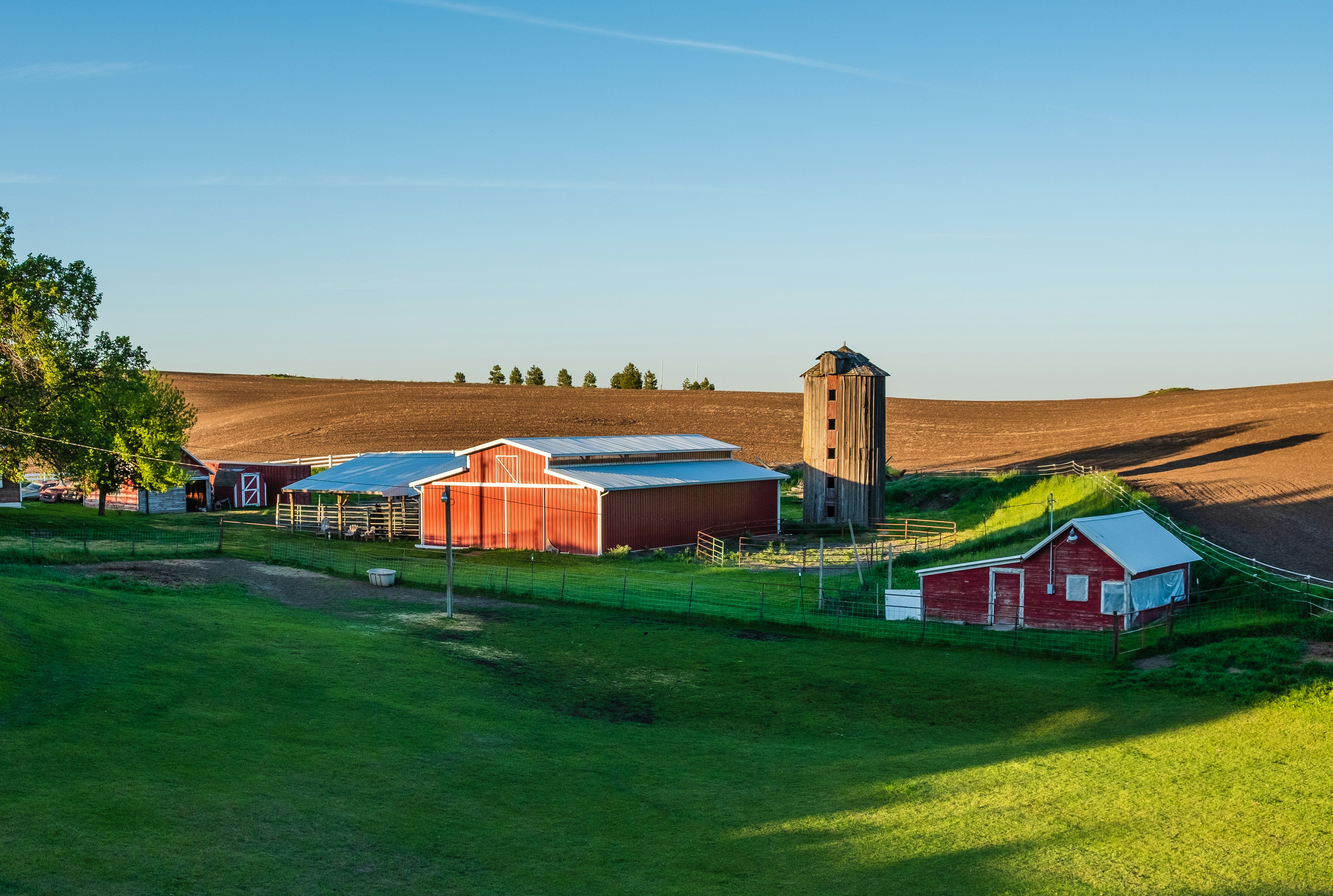 March 24-Feeding America, workplace comedy & a familiar favorite