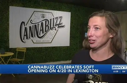 Are THC drinks the future of social drinking?