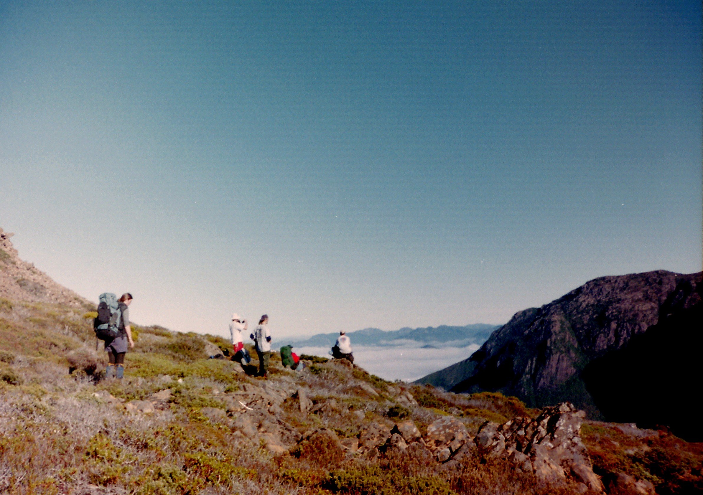 The Day We Lost a Whole Pack... and Still Walked Out