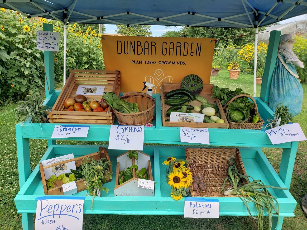 Must-Visit Farmers Markets in Little Rock