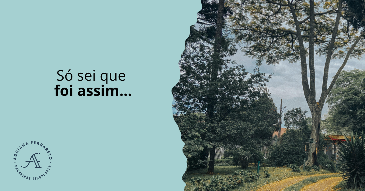 Só sei que foi assim...