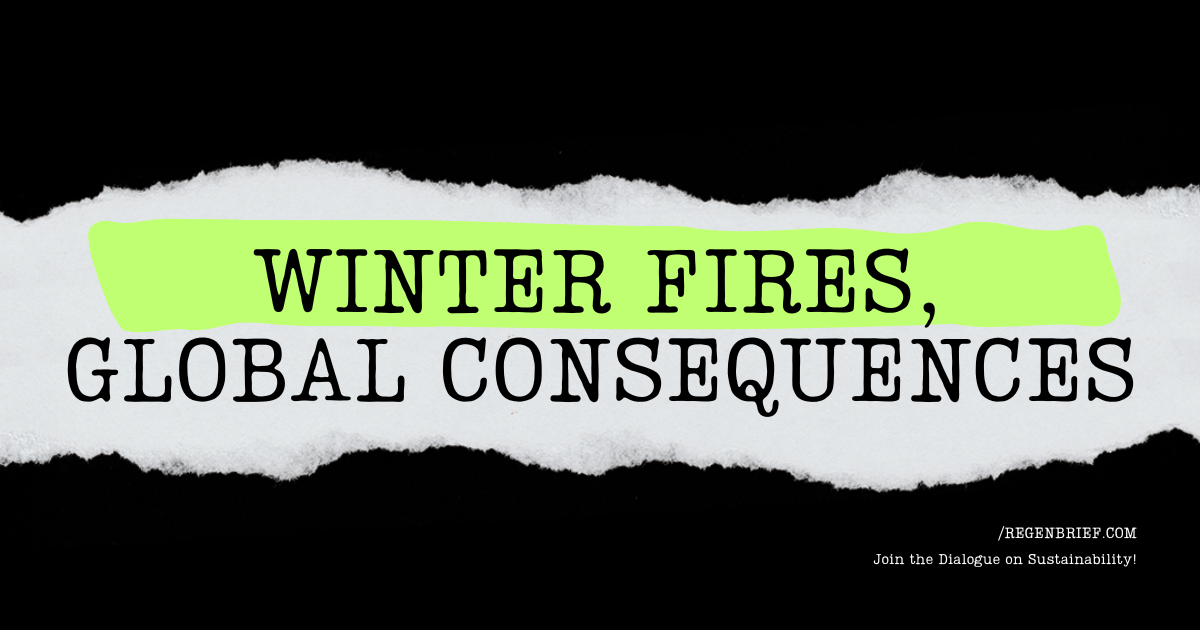 Winter Fires, Global Consequences: Why the Amazon Isn't the Only Forest That Matters