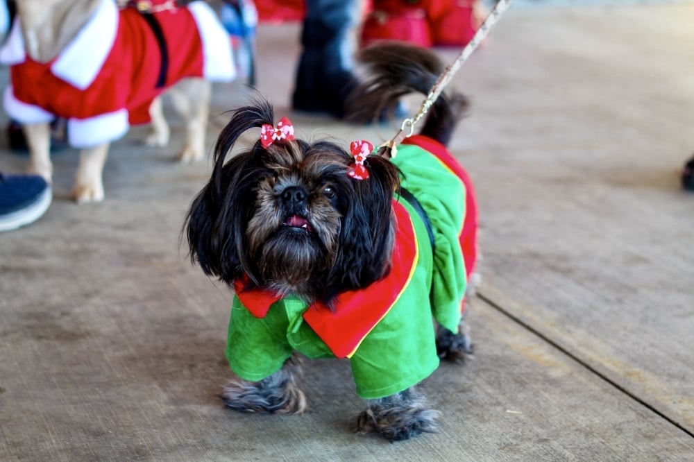 HTX-NCP: Impact 12/1/2025