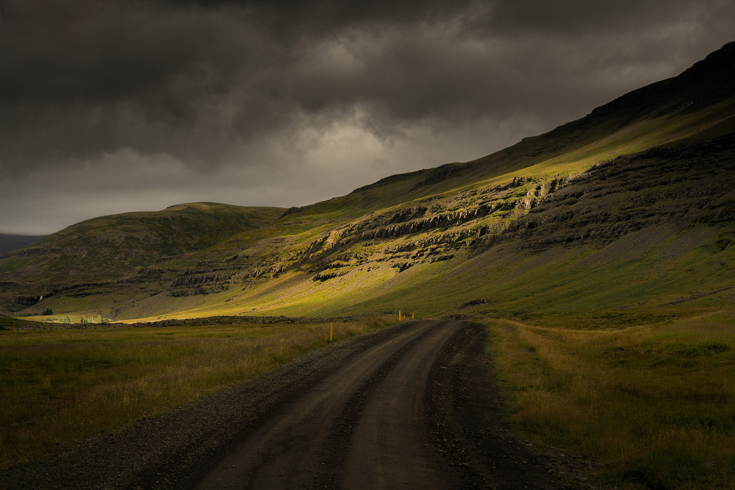 Chasing Light by Stefano Gardel