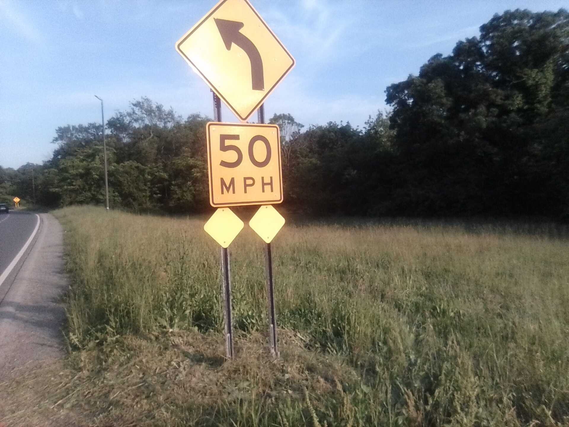 Decoding the Rhythms: What's the Real Difference Between Reggae and Rocksteady?