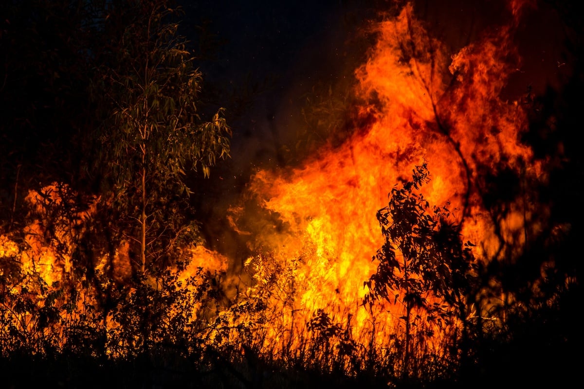 Nearly 5,000-Acre Wildfire Sends Smoke Across Western Broward