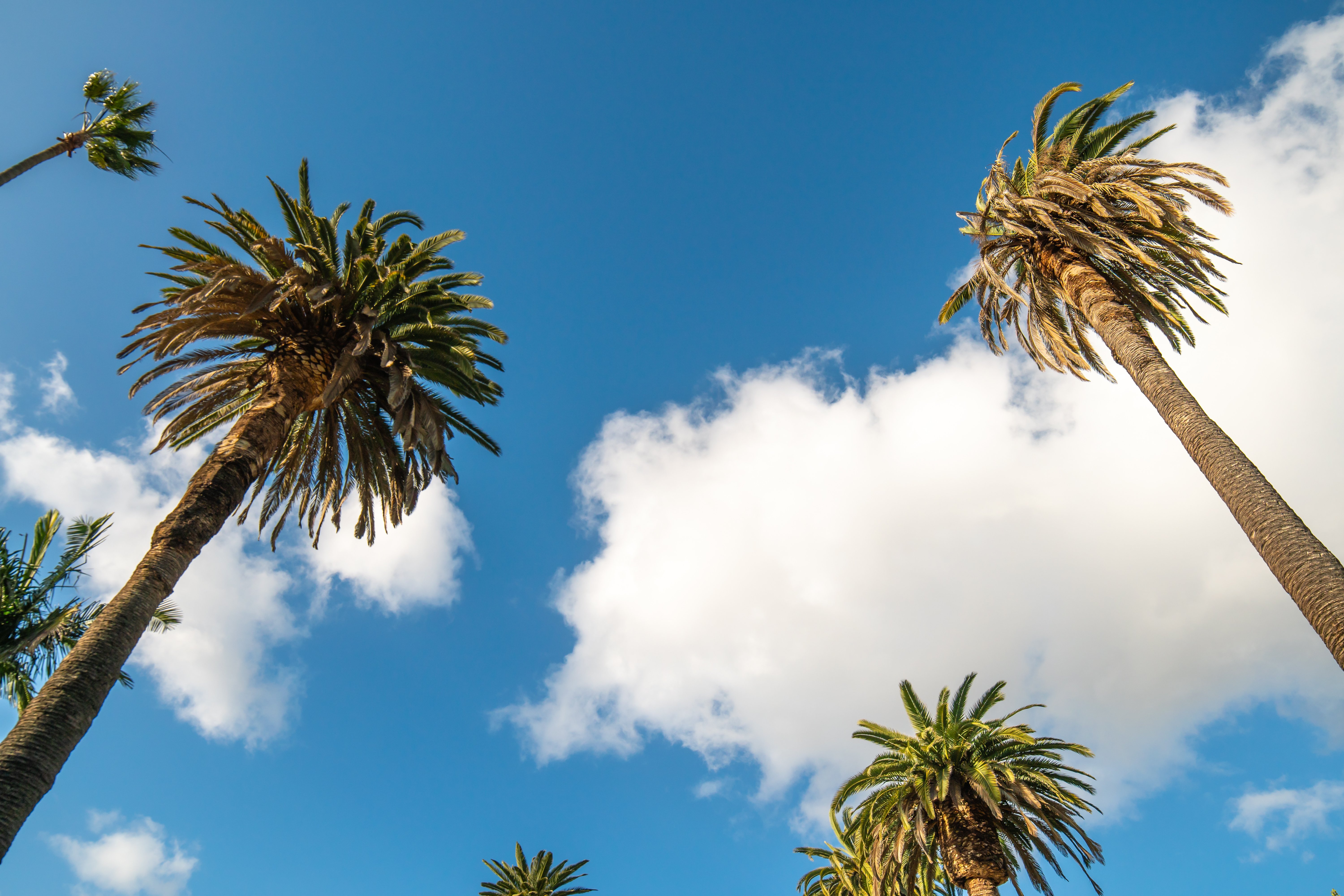 📣 $180k Jubilee Roles, $40k Doc Grants & NYLA Final Call