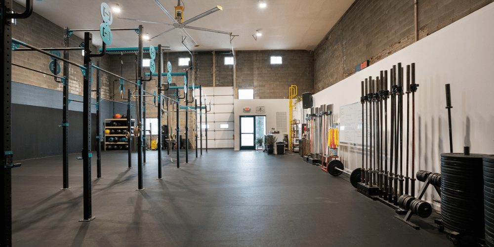 💪 Rebuilding, One Rep at a Time