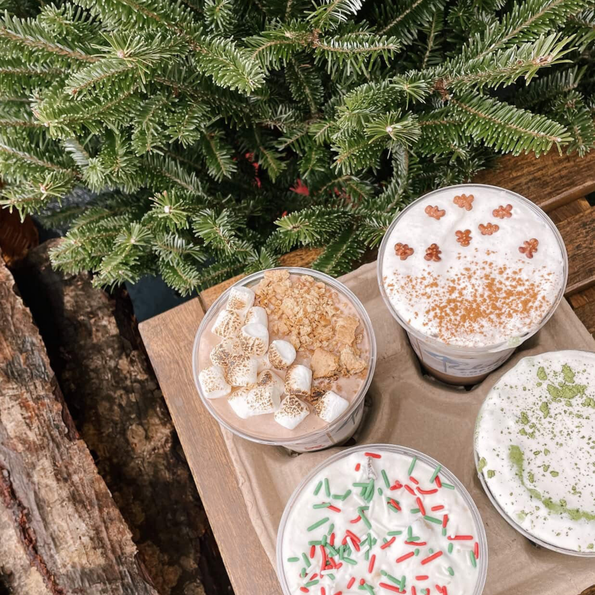 Top Dining Spots in OCNJ: November 2025 Local Guide