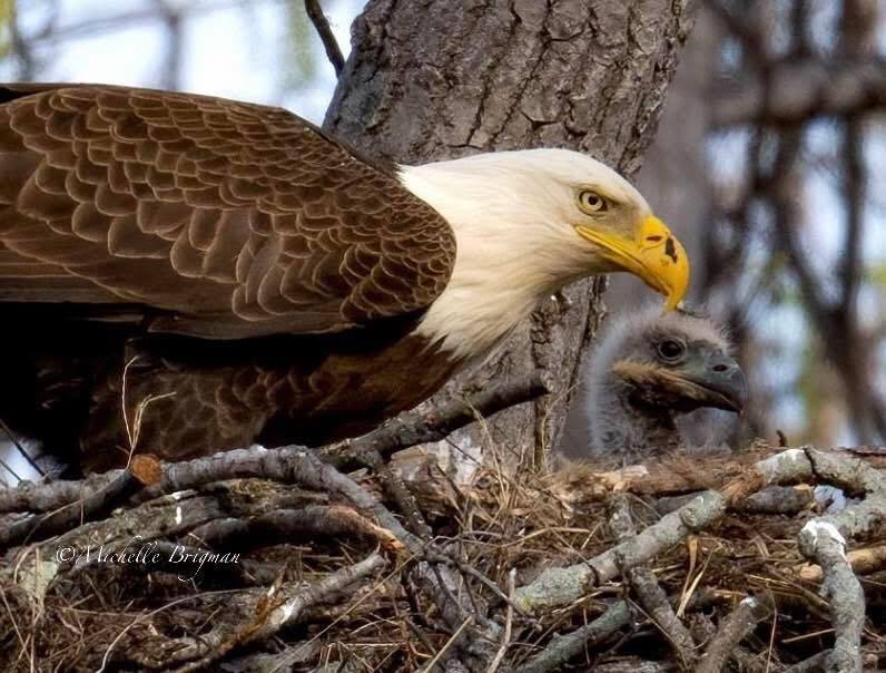 Happy July 4th! 🇺🇸 