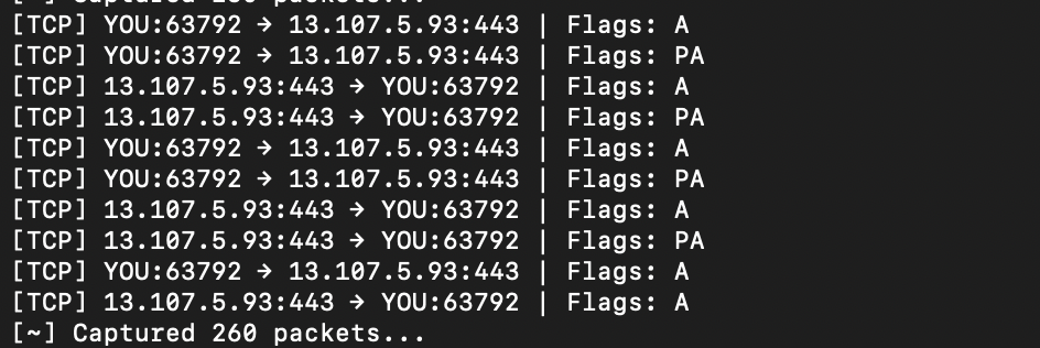 Watching the Internet Talk: A Beginner’s Packet Sniffer in Python