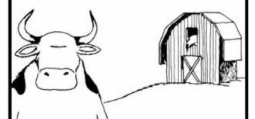 Monday Poetry Post: Cow Tools