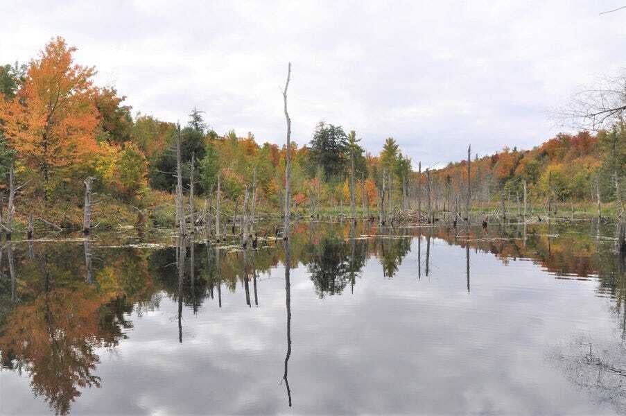 12 Acres of Private Waterfront in NY under 40k – Only 3 Lots Left at This Price!"