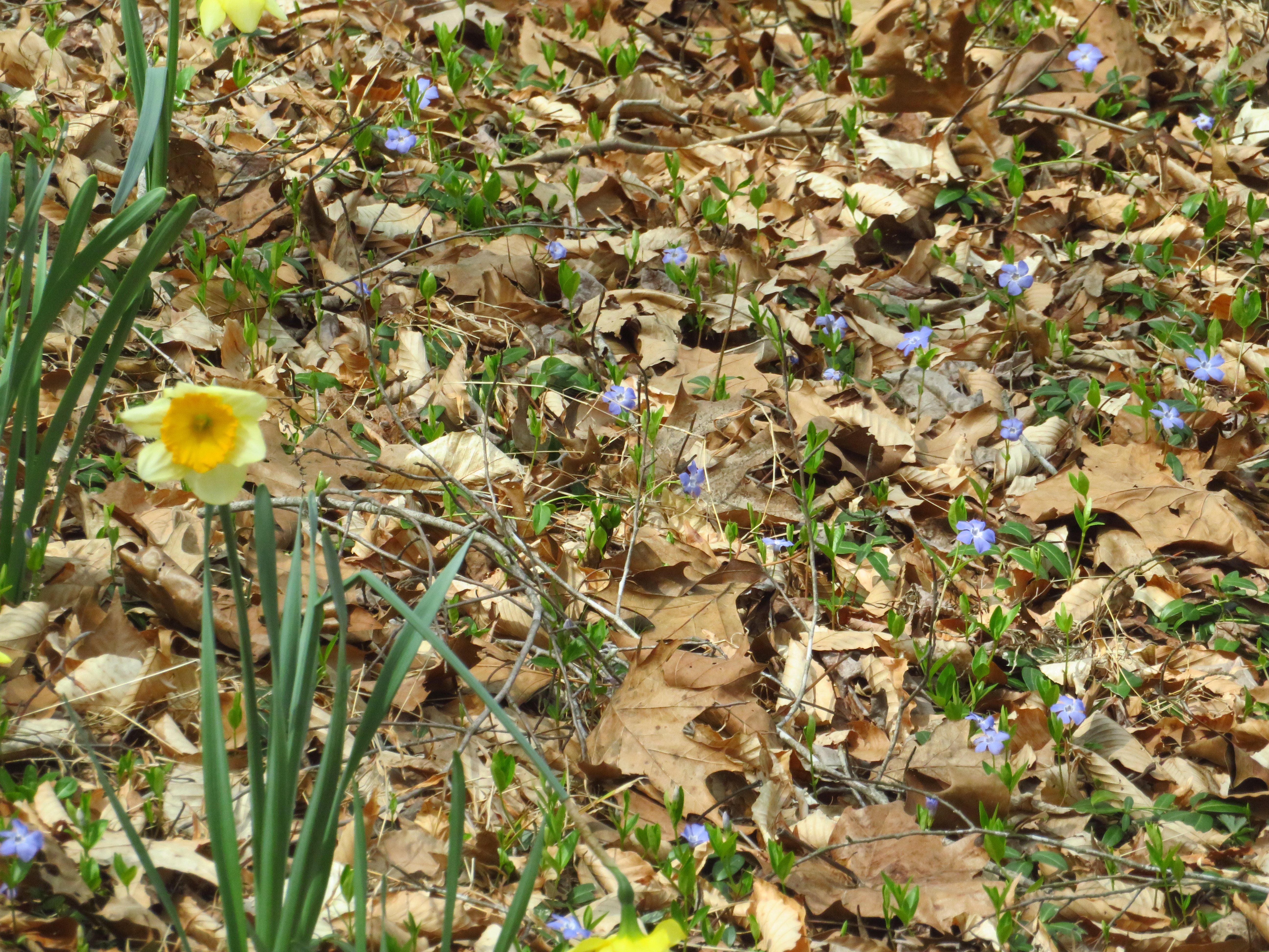 Friday, March 20, 2026