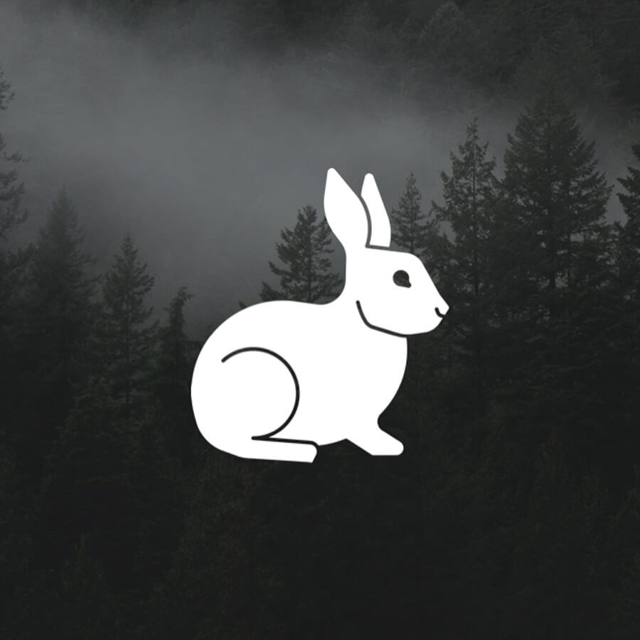 Introducing the White Rabbit Newsletter