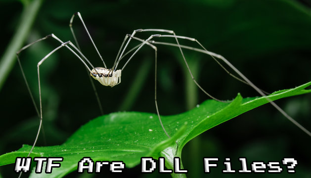 WTF Are DLL Files?