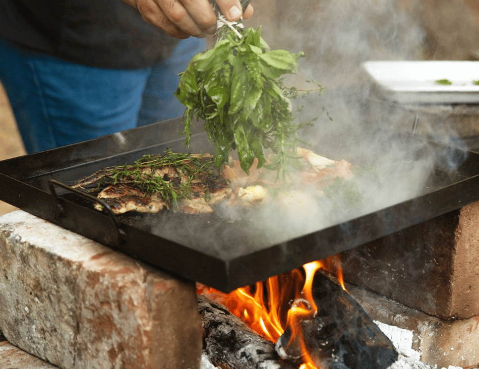 TRAVELism Edition #20: San Jose del Cabo 