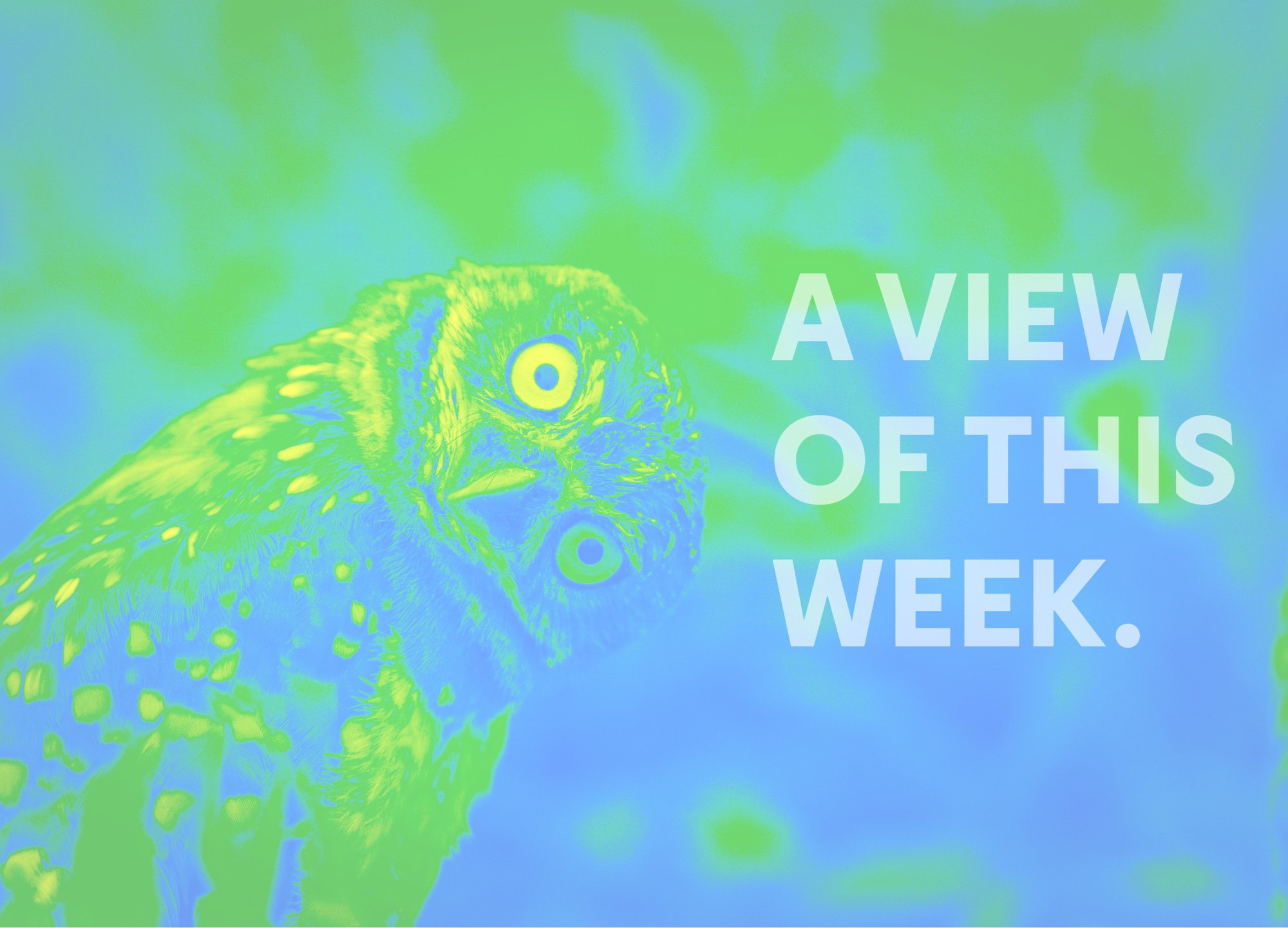 Apprenticeship's big weird week, shutdown angst, and $7.3 billion in grants listings. 