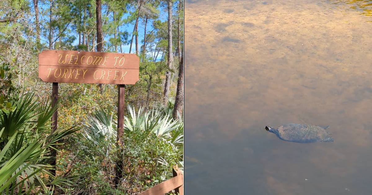 Turkey Creek Sanctuary, Palm Bay Florida