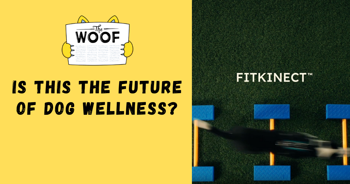 Is This the Future of Dog Wellness?