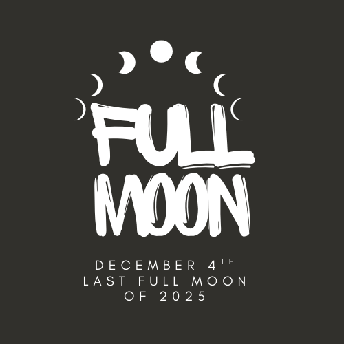 ✨ WEEKLY ASTROLOGY NEWSLETTER