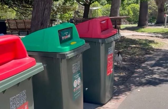 New Public Recycling Trial: FOGO & Bottle Bins Land in Inner West Parks