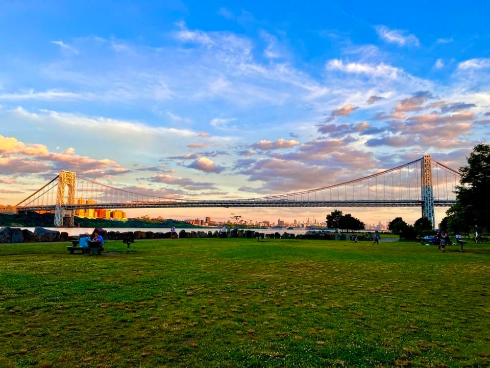 Ready for Light up Animals?!