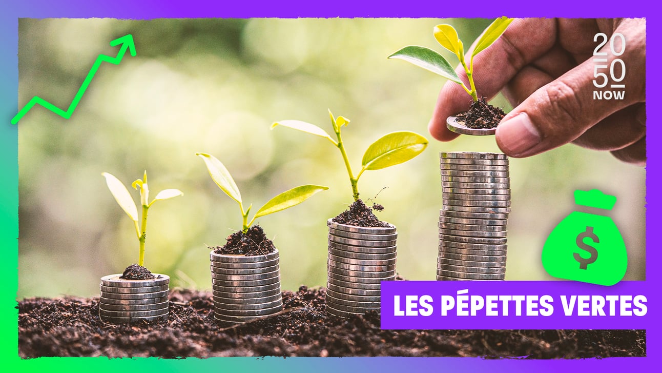 Les pépettes vertes : la proposition de la semaine