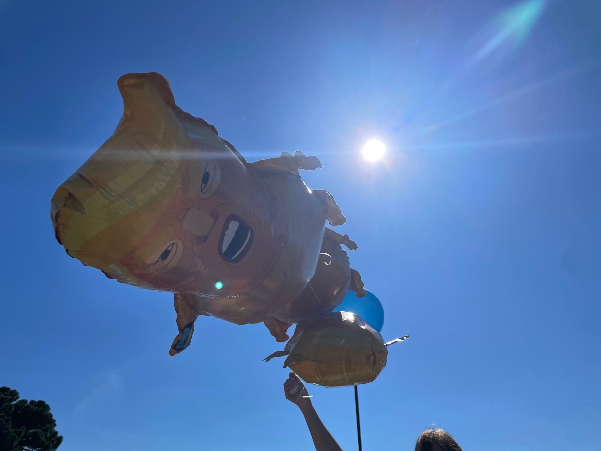 "I Didn't Fight for This"