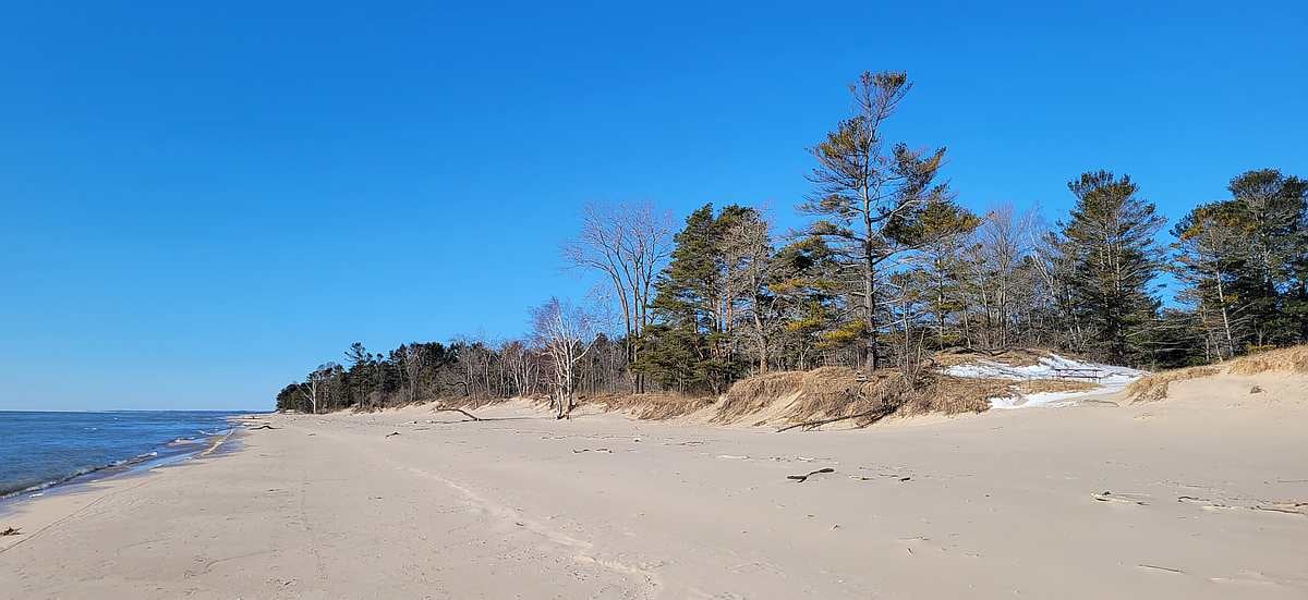 The Friday Five - Leadership Edition