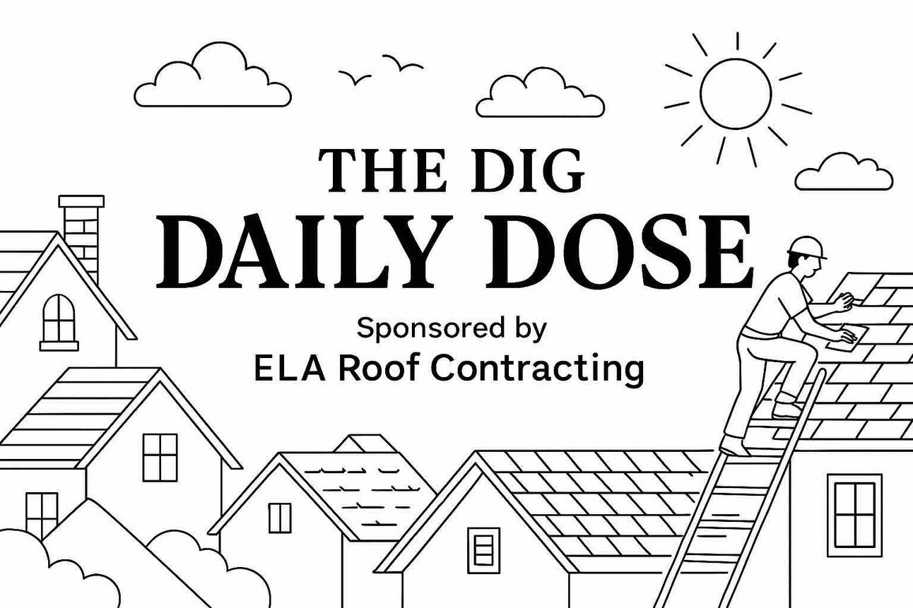 The Dig Daily Dose Edition 733