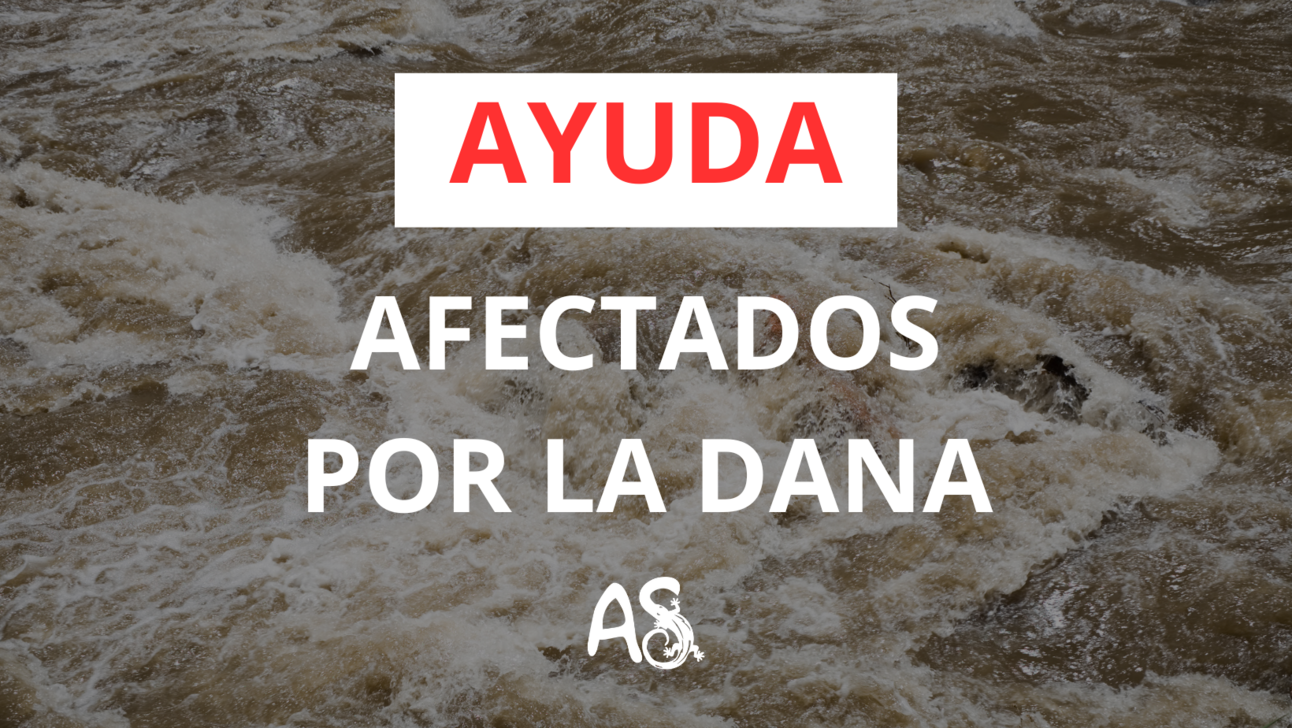 Arte para ayudar a los afectados por la DANA