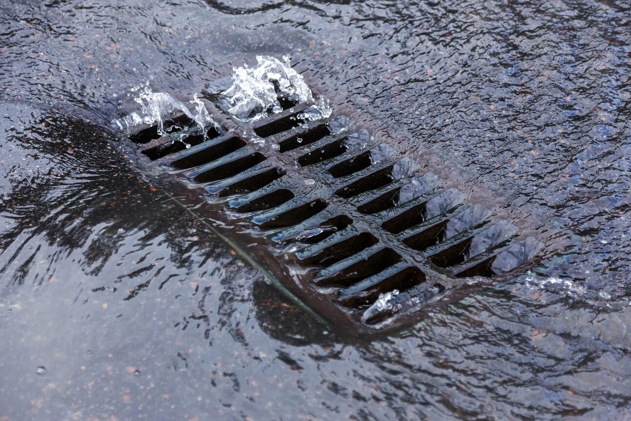 San Franciscans are Naming their Storm Drains and it’s Fantastic!