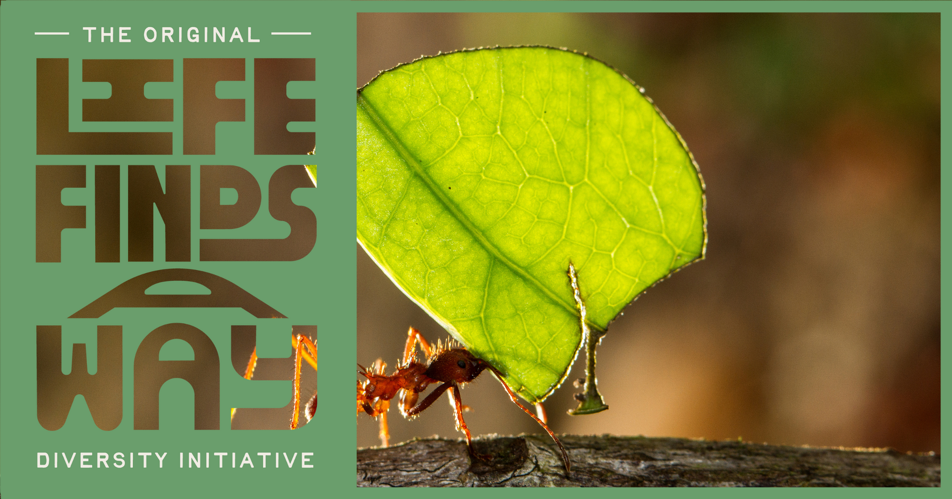 Why separating humans from nature contradicts biology