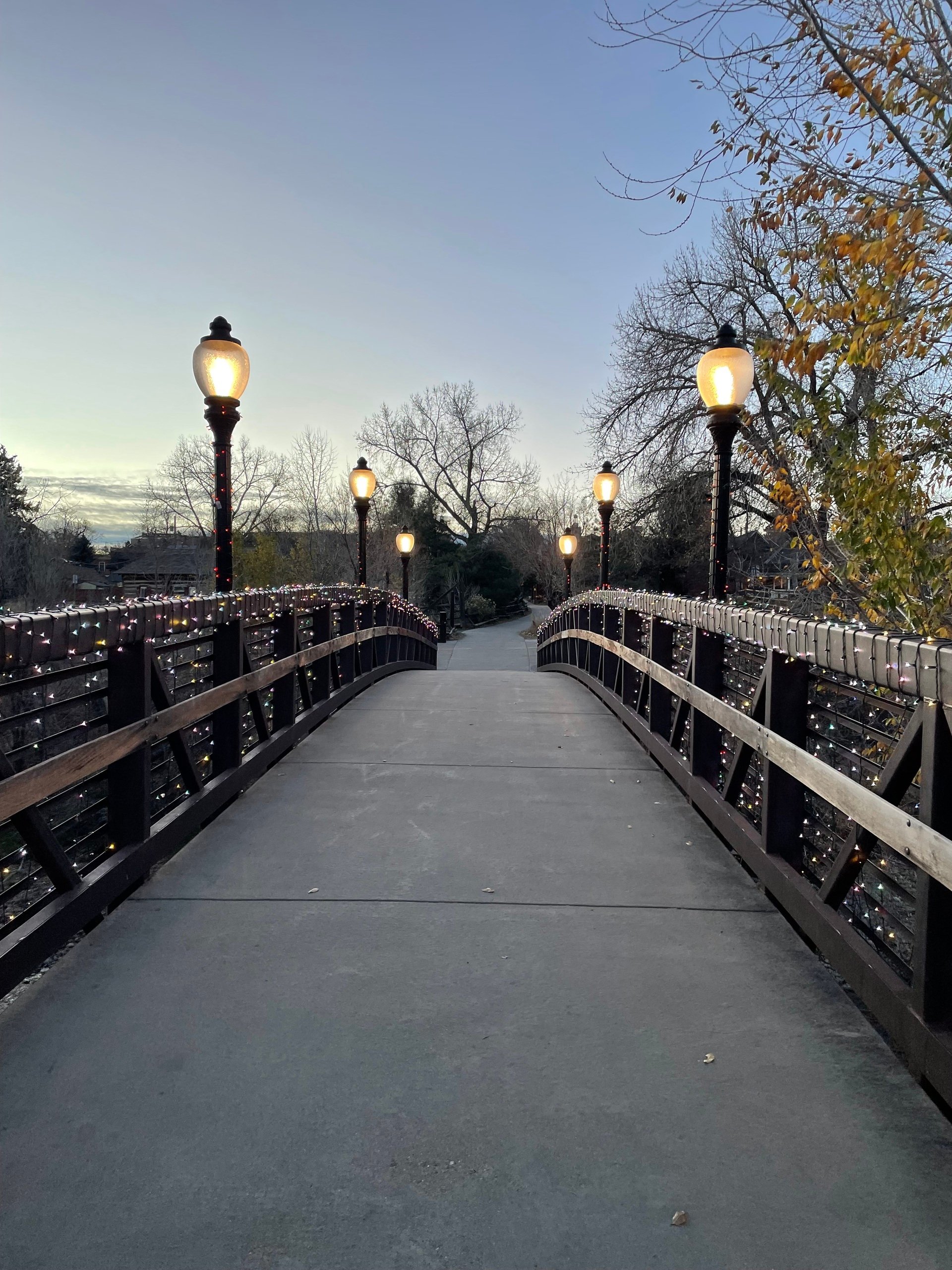 🪿 The Grateful Goose Edition