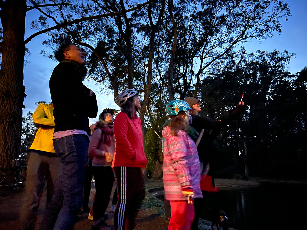 Riding Bikes and Searching for Bats on Permanent Car-Free JFK