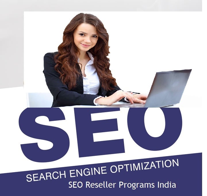 Best Top Private White Label SEO Reseller Partner India