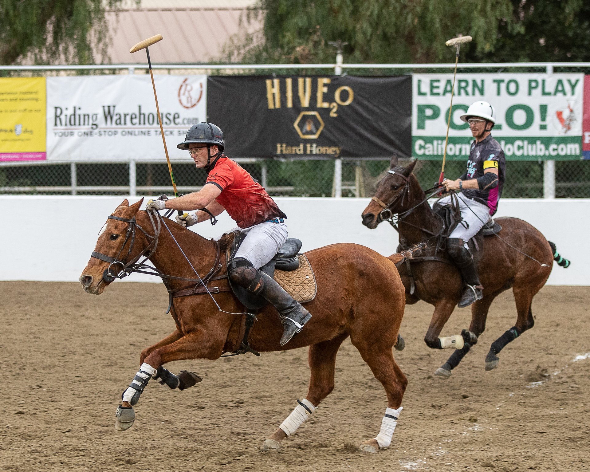 I took a photo walk a couple of days ago. I didn’t bring home too many photos. This view caught my eye despite its randomness. I was happy to found a place where there was just one color in the frame :)