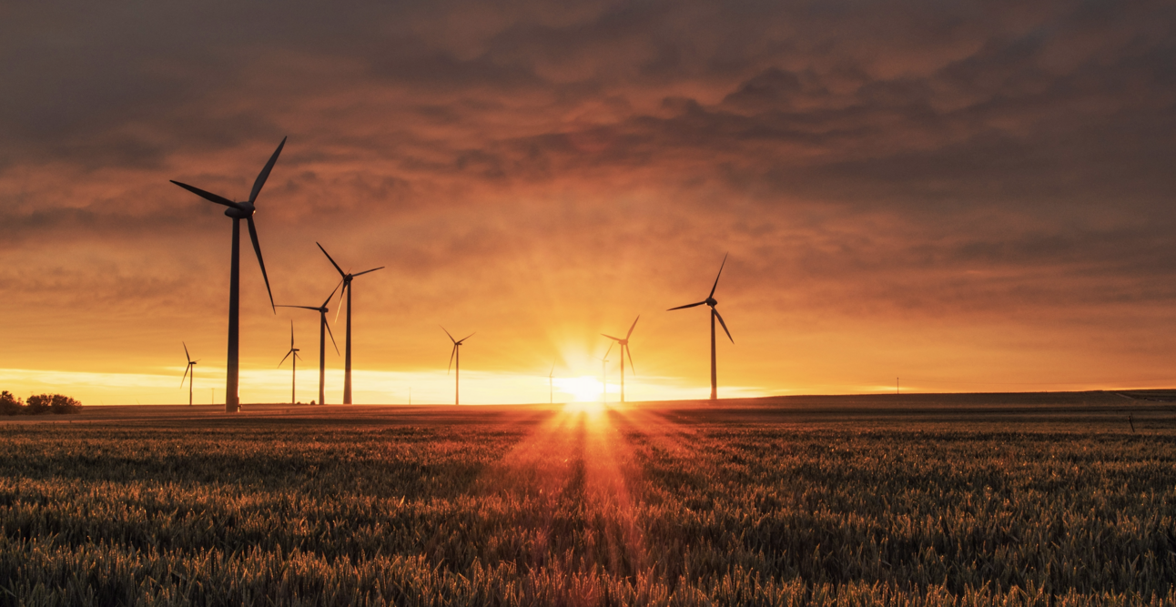 The Power Law of Customer Pain