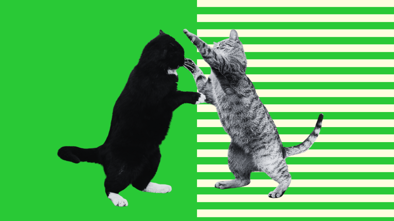 2 Ways Retailers Can Compete In An AI-Enabled Shopping Future