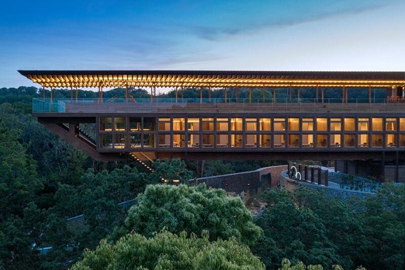 🦩 Spiritual Retreat in Japan, Should You? ⛩️